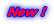 新コース